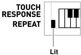 CASIO CTK-810 - Looping a Musical Phrase - 2
