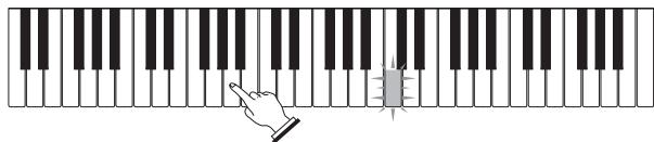 CASIO LK-210 - Etape 1 - Maîtriser la cadence - 3