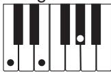 CASIO LK-215 - REMARQUE - 4