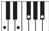 CASIO LK-215 - REMARQUE - 10