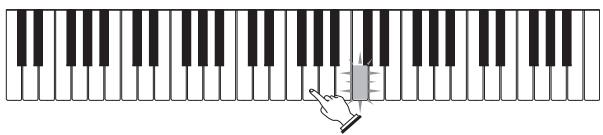 CASIO LK-215 - Si vous sélectionné z'étépe 1 de la façon - 1