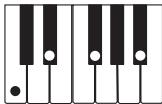 CASIO LK-215 - REMARQUE - 9