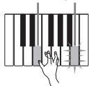 CASIO LK-215 - Serie de notes à la même hauteur - 6