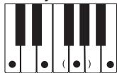 CASIO LK-215 - REMARQUE - 8