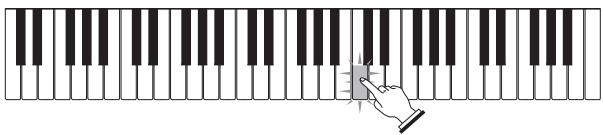 CASIO LK-215 - Etape 2 - Maîtriser les notes - 2
