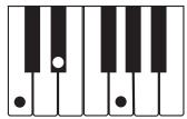 CASIO LK-215 - REMARQUE - 2