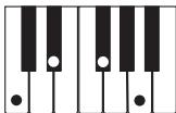 CASIO LK-215 - REMARQUE - 15