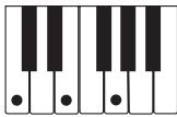 CASIO LK-215 - REMARQUE - 1