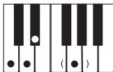CASIO LK-215 - REMARQUE - 13