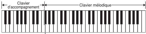 CASIO LK-215 - Clavier d'accompagnement et clavier mélodouble FINGERED - 1
