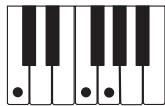 CASIO LK-215 - REMARQUE - 5