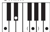 CASIO LK-215 - REMARQUE - 14