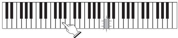 CASIO LK-215 - Etape 1 - Maîtriser la cadence - 3