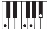 CASIO LK-215 - REMARQUE - 11