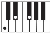 CASIO LK-215 - REMARQUE - 3