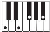CASIO LK-73 - NOTE - 10