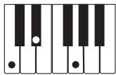 CASIO LK-73 - NOTE - 2
