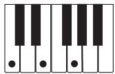 CASIO LK-73 - NOTE - 1