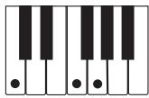 CASIO LK-73 - NOTE - 5