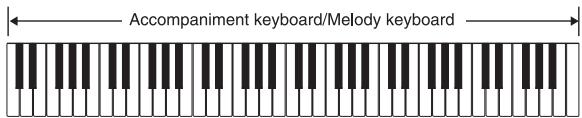 CASIO LK-73 - FULL RANGE CHORD - 1