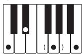 CASIO LK-73 - NOTE - 14