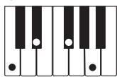 CASIO LK-73 - NOTE - 15