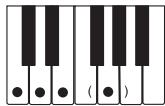 CASIO LK-73 - NOTE - 12