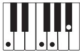 CASIO LK-73 - NOTE - 11