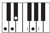 CASIO LK-73 - NOTE - 13