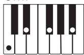 CASIO LK-73 - NOTE - 9