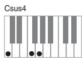 CASIO PX-120 - Important - 5