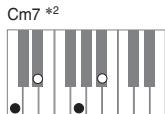 CASIO PX-120 - Important - 7