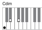 CASIO PX-120 - Important - 3