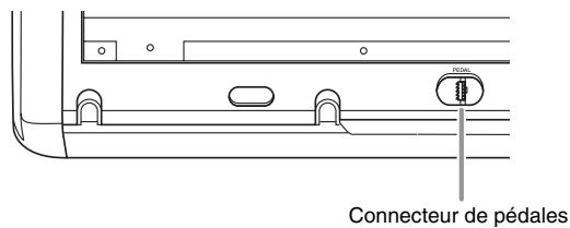 CASIO PX-120 - Connecteur de pédales - 1