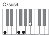 CASIO PX-120 - Important - 11