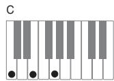 CASIO PX-120 - Important - 1