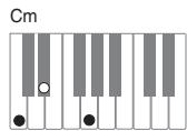 CASIO PX-120 - Important - 2