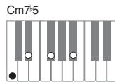 CASIO PX-120 - Important - 9