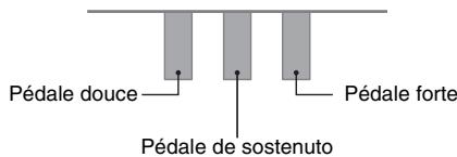 CASIO PX-120 - Pédale de sostenuto - 1