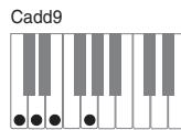 CASIO PX-120 - Important - 12
