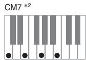 CASIO PX-120 - Important - 8