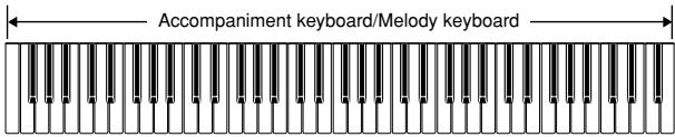 CASIO WK-110 - FULL RANGE CHORD Accompaniment Keyboard and Melody Keyboard - 1