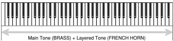 CASIO WK-110 - LAYER - 1
