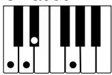 CASIO WK-110 - NOTE - 13