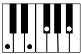 CASIO WK-110 - NOTE - 10