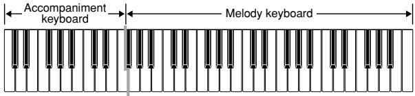 CASIO WK-110 - CASIO CHORD Accompaniment Keyboard and Melody Keyboard - 2