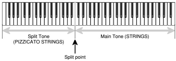 CASIO WK-110 - SPLIT - 1