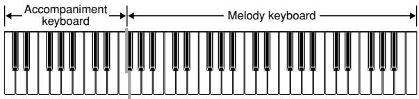 CASIO WK-110 - FINGERED Accompaniment Keyboard and Melody Keyboard - 2