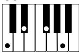 CASIO WK-110 - NOTE - 15