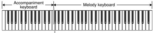 CASIO WK-110 - CASIO CHORD Accompaniment Keyboard and Melody Keyboard - 1